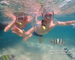 Underwater Odyssey snorkeling excursion Pattaya Thailand photo 11573