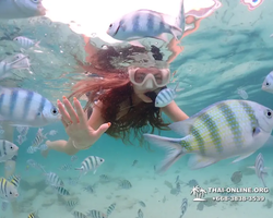 Underwater Odyssey snorkeling excursion in Pattaya Thailand photo 128