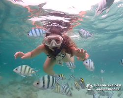 Underwater Odyssey snorkeling excursion in Pattaya Thailand photo 151