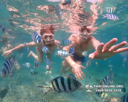 Underwater Odyssey snorkeling excursion Pattaya Thailand photo 11528