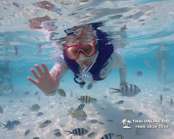 Underwater Odyssey snorkeling excursion in Pattaya Thailand photo 885