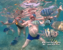 Underwater Odyssey snorkeling excursion Pattaya Thailand photo 11563