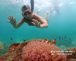 Underwater Odyssey snorkeling tour from Pattaya Thailand photo 18282