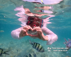 Underwater Odyssey snorkeling tour from Pattaya Thailand photo 14473