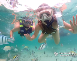 Underwater Odyssey snorkeling excursion in Pattaya Thailand photo 93