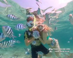 Underwater Odyssey snorkeling tour from Pattaya Thailand photo 18307