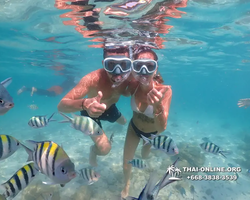 Underwater Odyssey snorkeling tour from Pattaya Thailand photo 14150