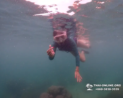 Underwater Odyssey snorkeling excursion in Pattaya Thailand photo 329