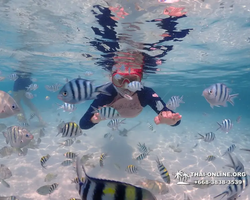 Underwater Odyssey snorkeling excursion in Pattaya Thailand photo 713