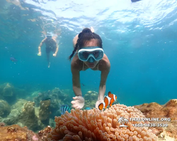 Underwater Odyssey snorkeling tour from Pattaya Thailand photo 14426