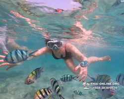 Underwater Odyssey snorkeling tour from Pattaya Thailand photo 14251