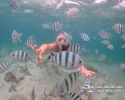 Underwater Odyssey snorkeling excursion in Pattaya Thailand photo 180