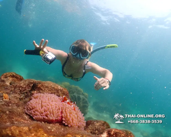 Underwater Odyssey snorkeling excursion Pattaya Thailand photo 14858