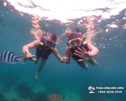 Underwater Odyssey snorkeling excursion in Pattaya Thailand photo 121