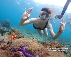 Underwater Odyssey snorkeling excursion Pattaya Thailand photo 11430