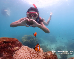 Underwater Odyssey snorkeling excursion in Pattaya Thailand photo 539