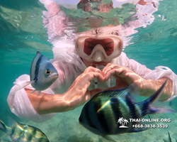 Underwater Odyssey snorkeling tour from Pattaya Thailand photo 14366