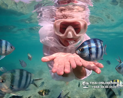 Underwater Odyssey snorkeling tour from Pattaya Thailand photo 14397