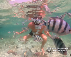 Underwater Odyssey snorkeling tour from Pattaya Thailand photo 18339