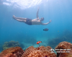 Underwater Odyssey snorkeling excursion in Pattaya Thailand photo 1022