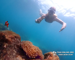 Underwater Odyssey snorkeling excursion in Pattaya Thailand photo 1037