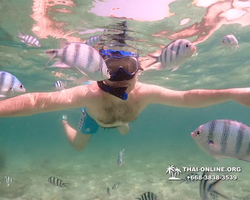 Underwater Odyssey snorkeling tour from Pattaya Thailand photo 18400