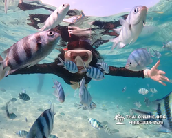 Underwater Odyssey snorkeling excursion Pattaya Thailand photo 11219