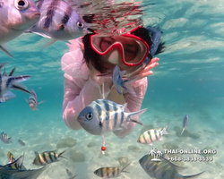 Underwater Odyssey snorkeling tour from Pattaya Thailand photo 14299