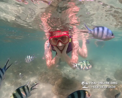 Underwater Odyssey snorkeling excursion Pattaya Thailand photo 19470