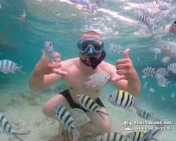 Underwater Odyssey snorkeling excursion in Pattaya Thailand photo 66