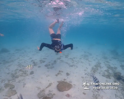 Underwater Odyssey snorkeling excursion Pattaya Thailand photo 11154