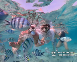 Underwater Odyssey snorkeling excursion Pattaya Thailand photo 11087