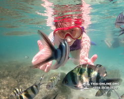 Underwater Odyssey snorkeling excursion Pattaya Thailand photo 19132