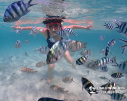 Underwater Odyssey snorkeling excursion in Pattaya Thailand photo 476