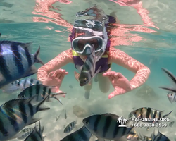 Underwater Odyssey snorkeling excursion Pattaya Thailand photo 19194