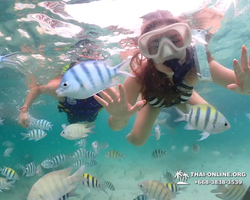 Underwater Odyssey snorkeling excursion in Pattaya Thailand photo 57