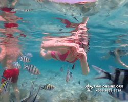 Underwater Odyssey snorkeling tour from Pattaya Thailand photo 14340