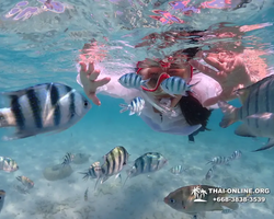 Underwater Odyssey snorkeling excursion in Pattaya Thailand photo 399