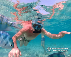 Underwater Odyssey snorkeling excursion Pattaya Thailand photo 11081