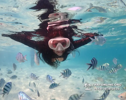 Underwater Odyssey snorkeling excursion Pattaya Thailand photo 11220