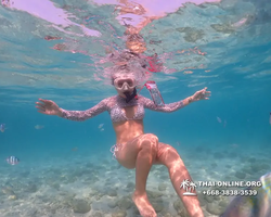 Underwater Odyssey snorkeling excursion Pattaya Thailand photo 11000