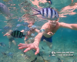 Underwater Odyssey snorkeling excursion Pattaya Thailand photo 11555