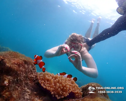 Underwater Odyssey snorkeling excursion in Pattaya Thailand photo 930