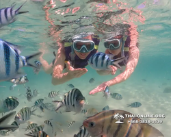 Underwater Odyssey snorkeling excursion Pattaya Thailand photo 19103