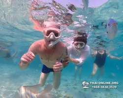 Underwater Odyssey snorkeling excursion Pattaya Thailand photo 11092