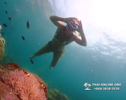 Underwater Odyssey snorkeling tour from Pattaya Thailand photo 18852