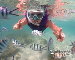 Underwater Odyssey snorkeling excursion Pattaya Thailand photo 19104