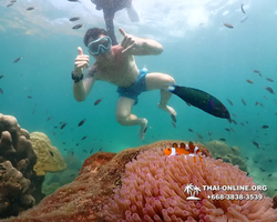 Underwater Odyssey snorkeling tour from Pattaya Thailand photo 18281