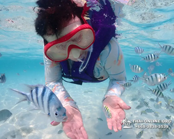 Underwater Odyssey snorkeling excursion in Pattaya Thailand photo 642