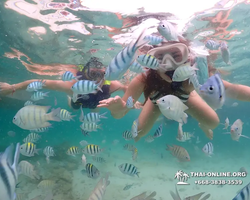 Underwater Odyssey snorkeling excursion in Pattaya Thailand photo 42